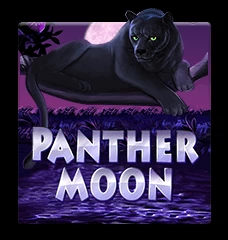 Panther Moon