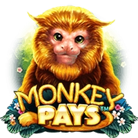 Monkey Pays